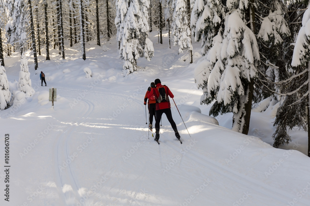 Winter road in mountains. Skiers on groomed ski trails for cross-country. Trees covered with fresh snow in sunny day in Karkonosze, Giant Mountains, Poland. 