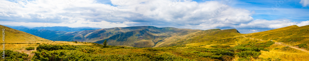 Carpathian mountains panoramic