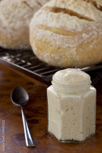 Sourdough starter fermenting and starts to ripen. Sourdough bread in background. Non Sharpen photo