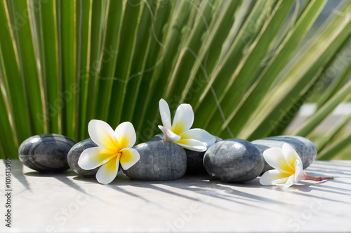 Plumeria flower and stones on palm background