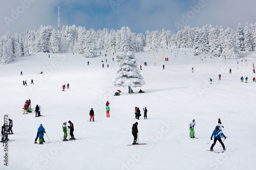 ski resort  photo