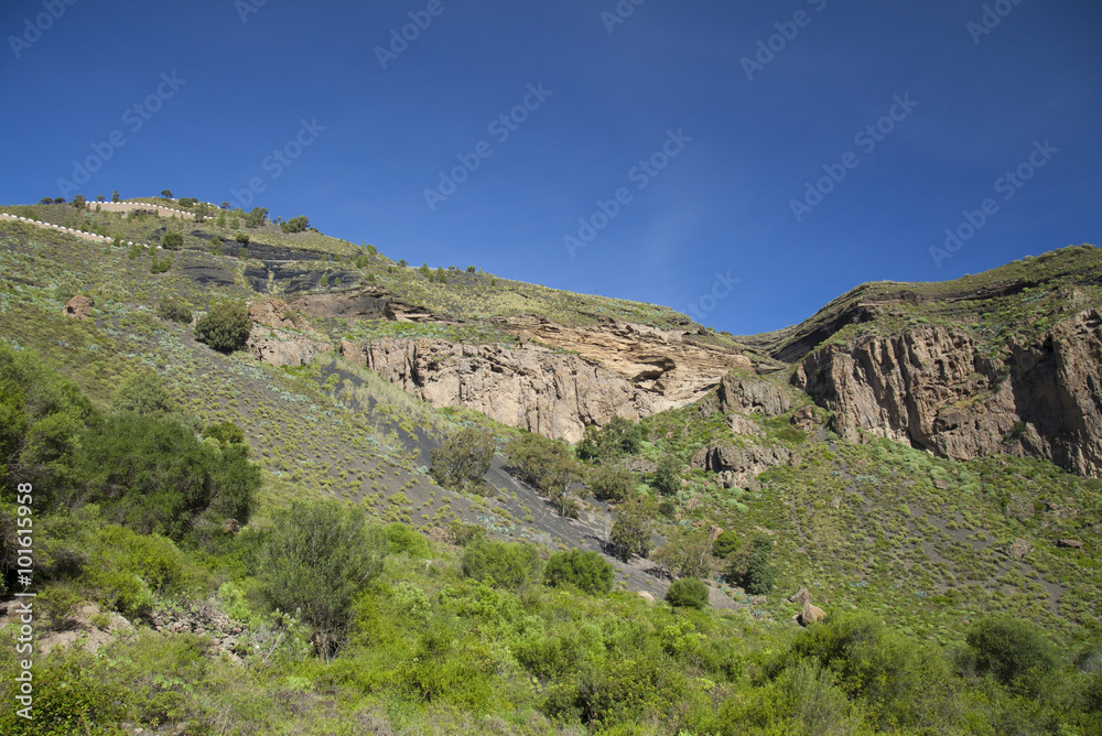 Gran Canaria, Caldera de Bandama and Pico de Bandama