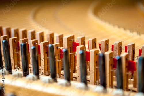 Harpsichord from the inside photo