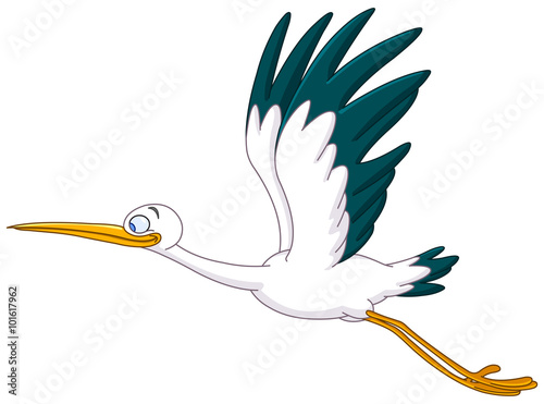 Stork flying