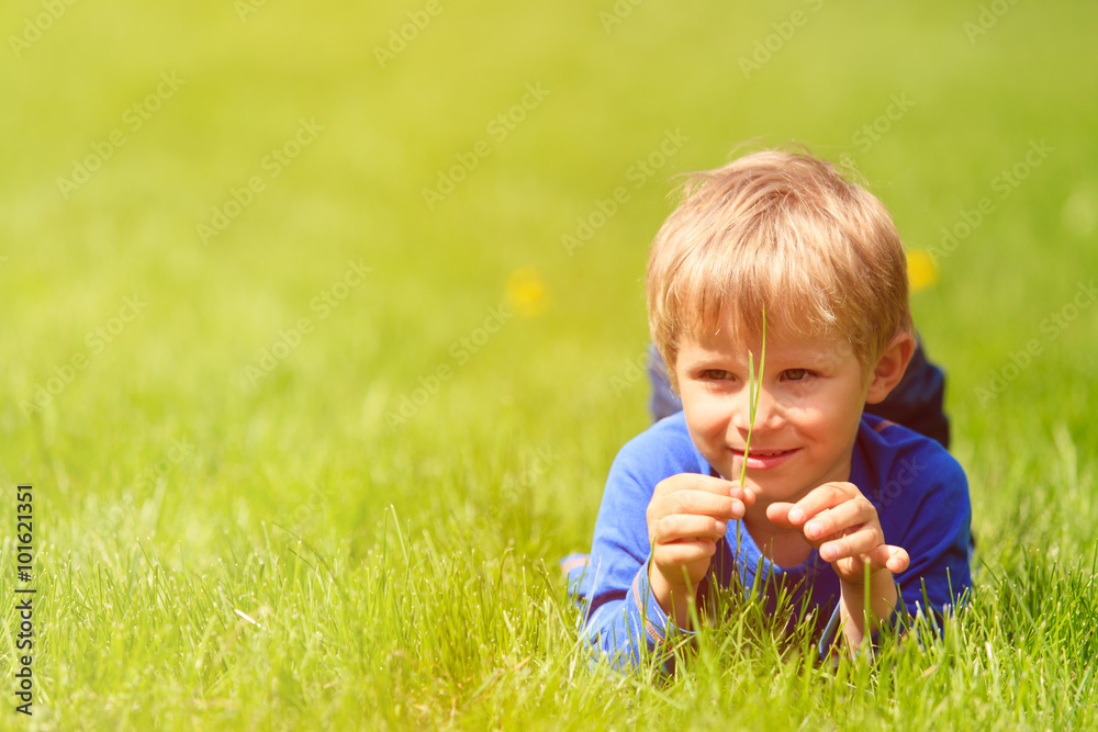 cute happy little boy lying in green grass on spring cute happy little boy lying in green grass on spring