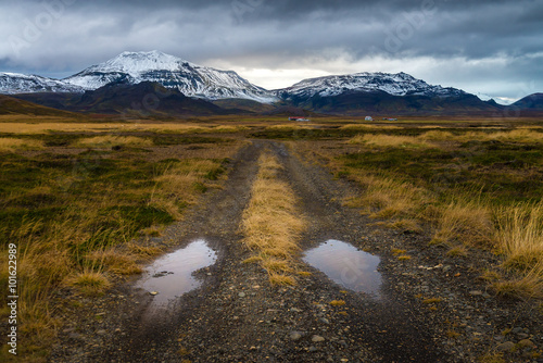 Rough road perspective in yellow field with snow mountain background in cloudy day autumn season countryside Iceland