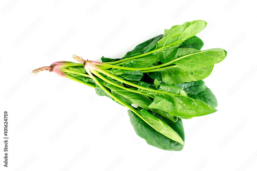 Raw organic spinach leaves isolated on white Raw organic spinach leaves isolated on white