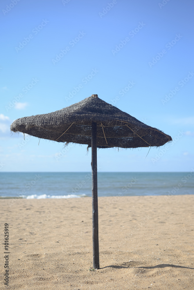 Beautiful view of sandy beach with palm, parasol and turquoise sea
