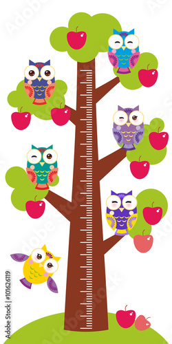 set bright colorful owls Big apple-tree with green leaves and red apples on white background Children height meter wall sticker, kids measure. Vector
