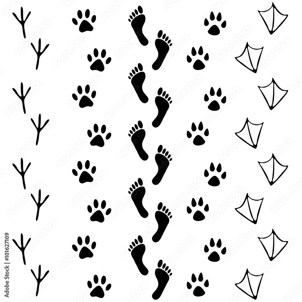 Vector set of human and animal, bird footprints icon. Collection of bare human foots, cat, dog, bird, chicken, hen, crow, duck footprint. Design for frames, invitation and greeting cards
