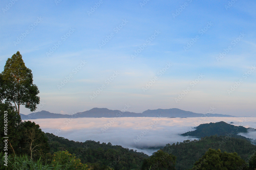 view of mountain with fog in rain forest