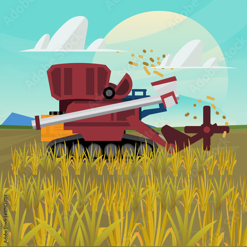 Rice combine harvester. farm - vector