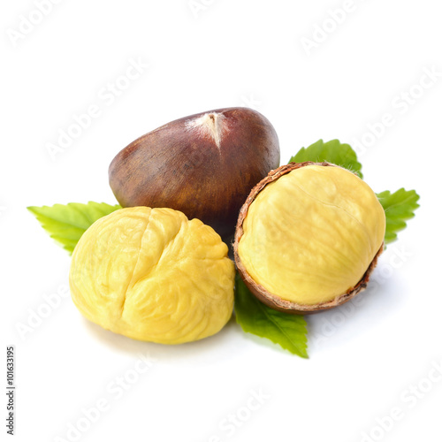 chestnut on white