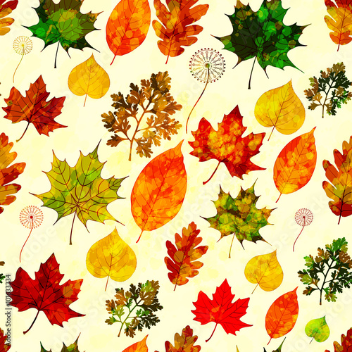 Seamless pattern with colored autumn leaves. Vector, EPS 10.