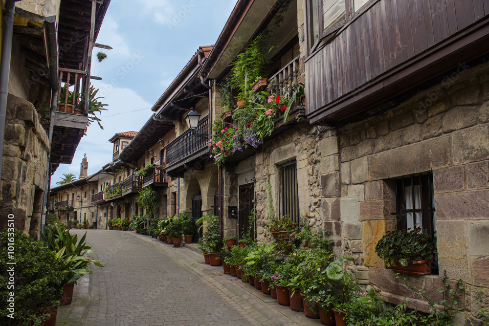 Narrow street and plants in a village in northern Spain