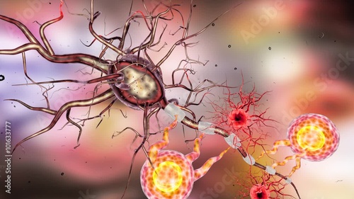 Supportive tissue of the nervous system. Neuron structure. Neuron, astrocyte (glial cell), oligodendrocytes, axon. 3D animation