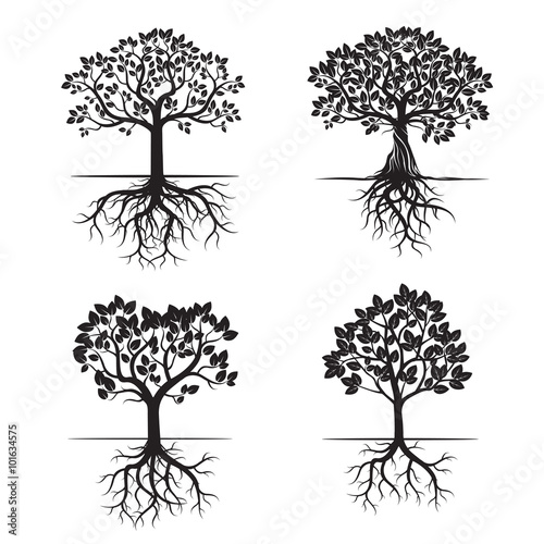 Collection of Black Trees and Roots. Vector Illustration.
