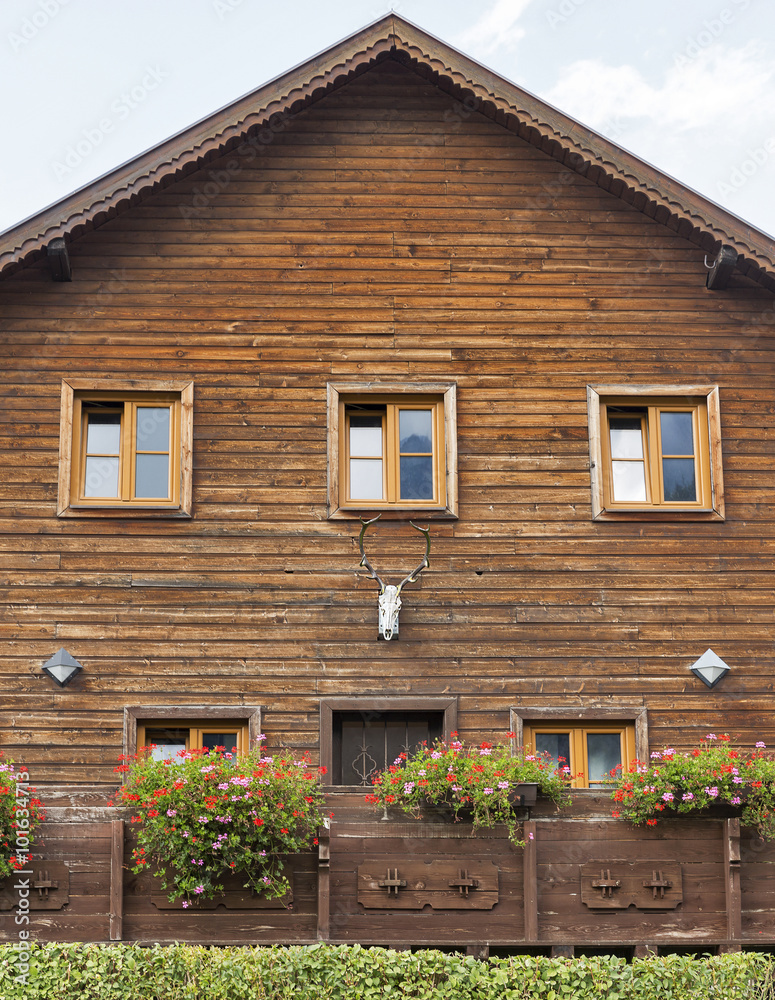 old wooden house with deer skull and horns