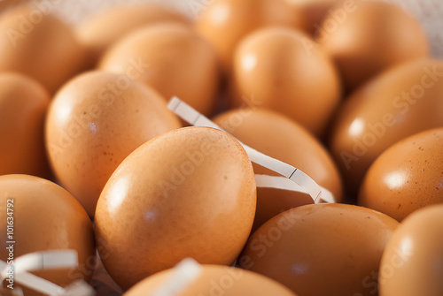 background of fresh eggs
