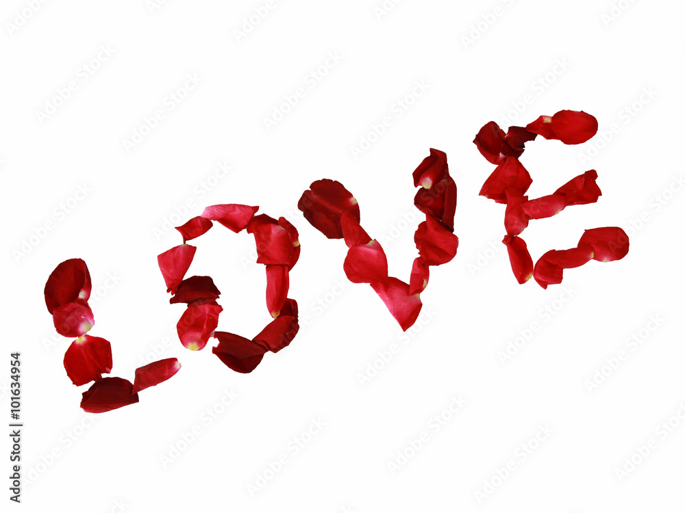 Photography Poster I Love you rose petals | Wall Art | Abposters.com