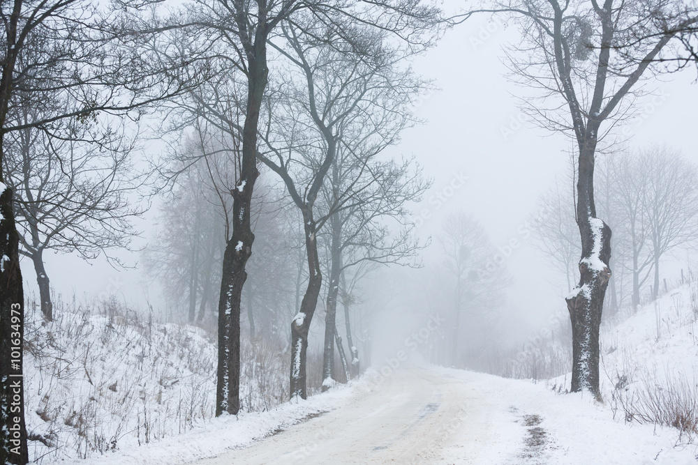 The winter road The winter road