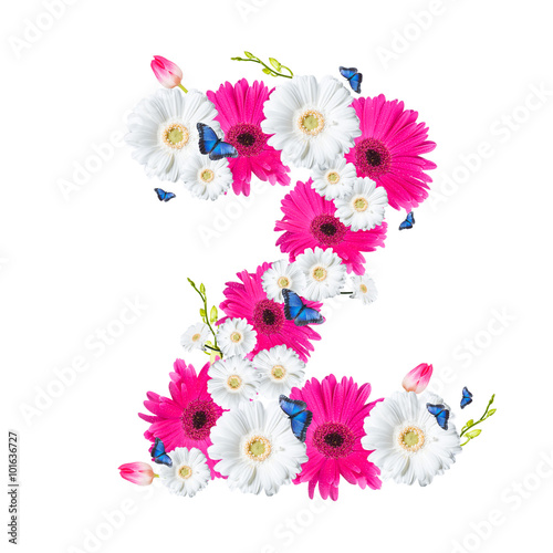 Alphabet Z, flower isolated on white background. Gerber, tulips and butterfly 