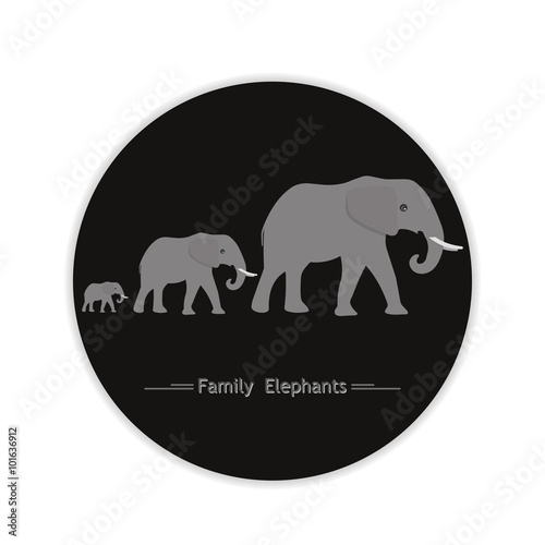 family of elephants in the circle, logo, shadow