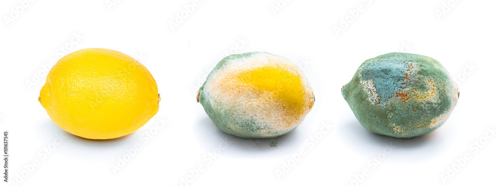 Photography lemons - isolated white background