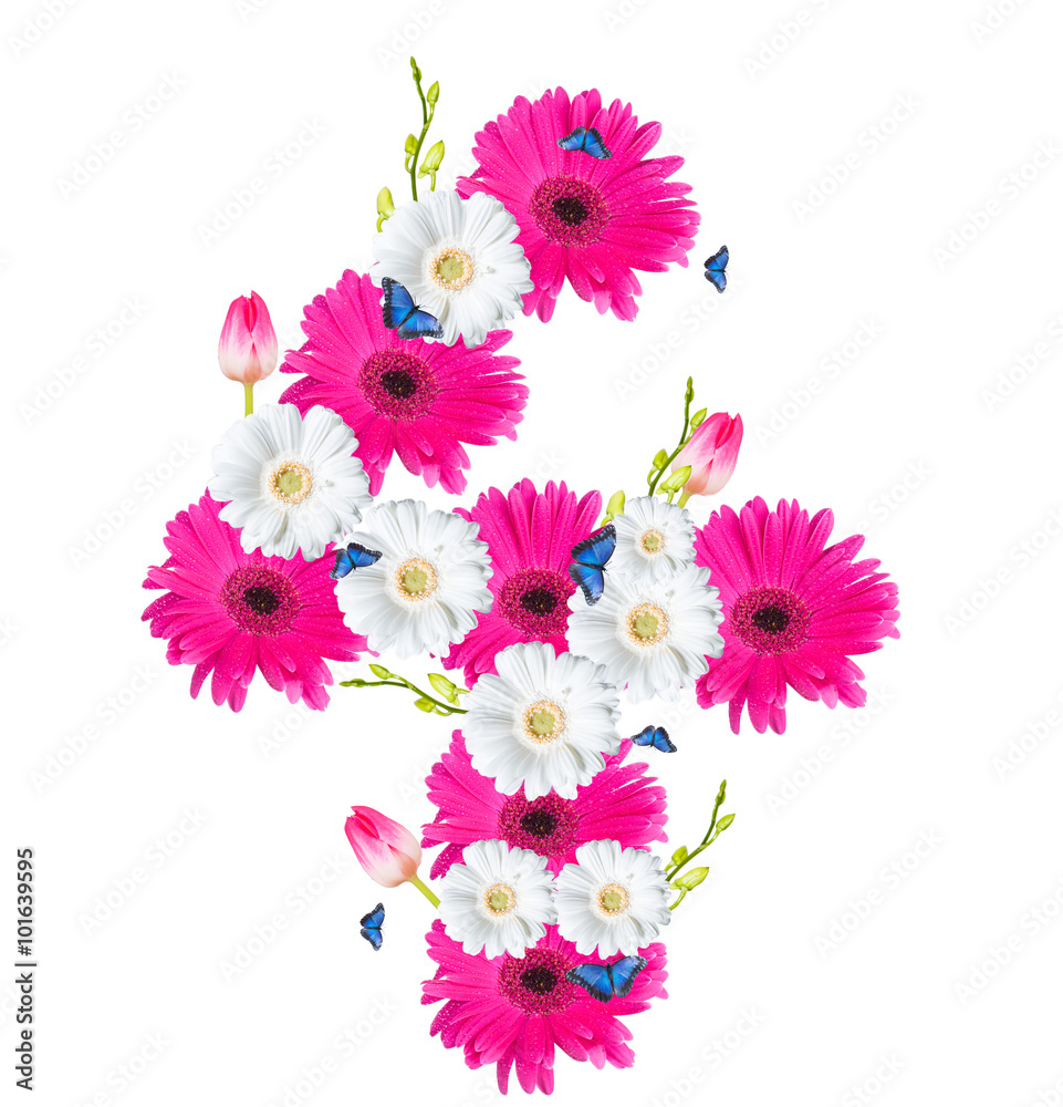 Number 4, flower isolated on white background. Gerber, tulips and butterfly 