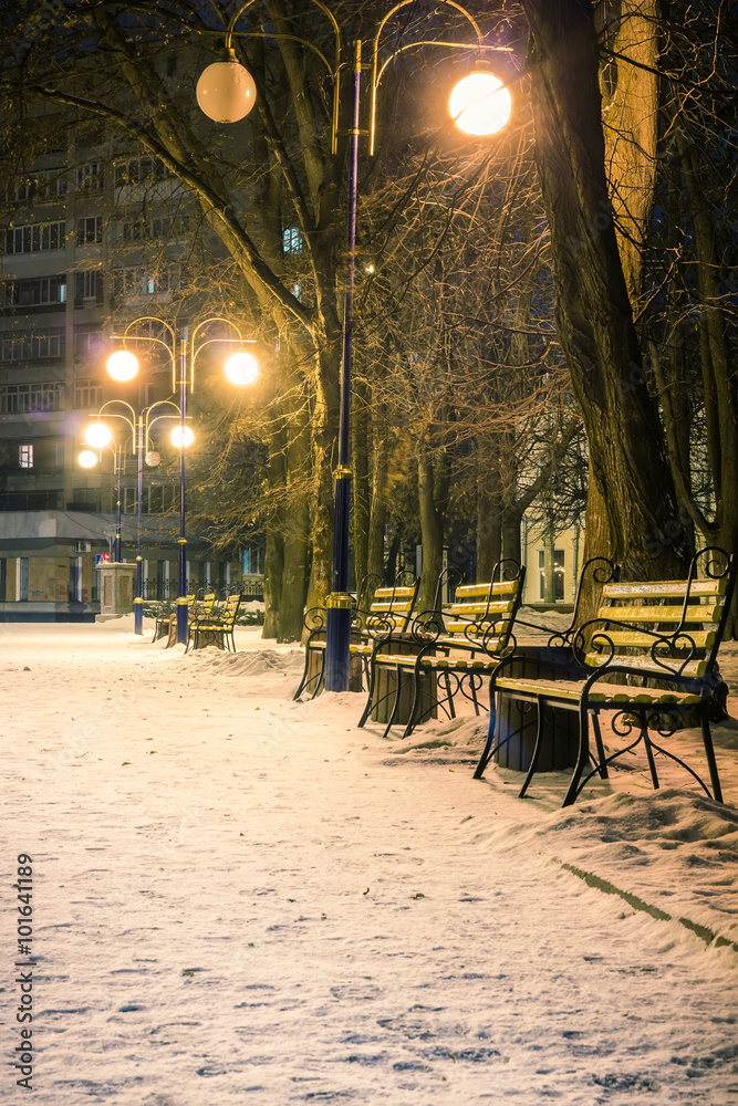 View of alley and benches through snowing, night shot