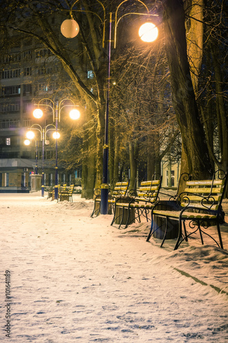 View of alley and benches through snowing, night shot