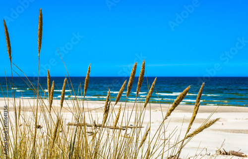 Sea and sandy beach view through grass from dunes, empty beach.