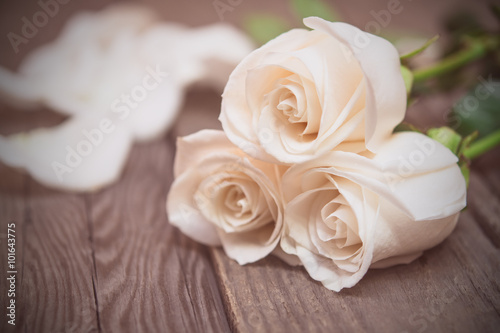 White roses on a dark wooden background. Women  s day  Valentine