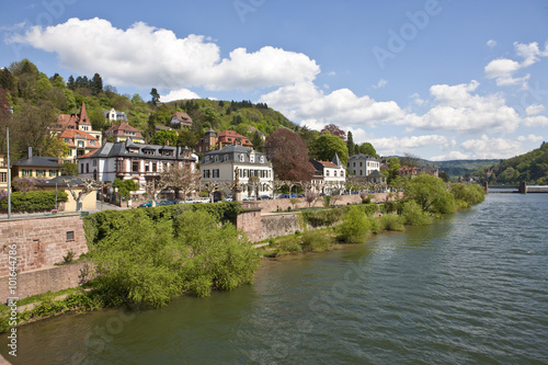 Blick auf die historischen Geb  ude am Neckar   Heidelberg  Neckar  Baden- W  rtemberg  Deutschland  Europa