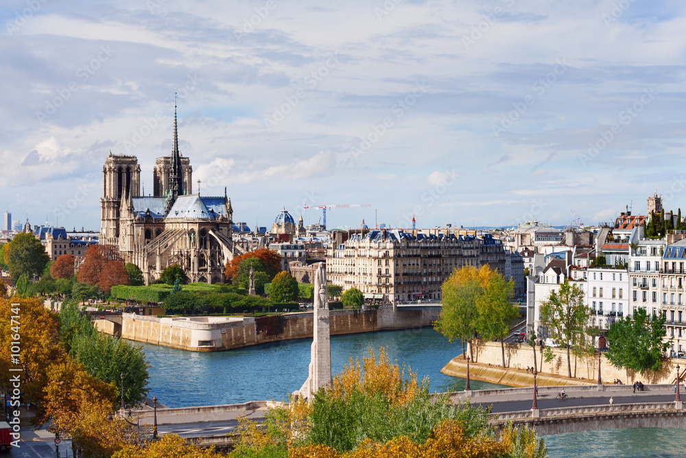 Fototapeta premium Island Cite with cathedral Notre Dame de Paris