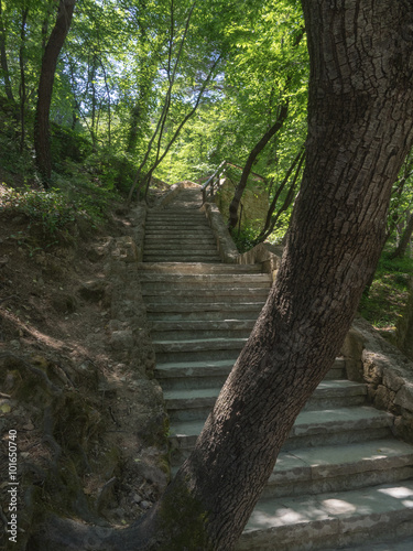 Wanderweg mit Treppe im Wald des Krka Nationalparks, Kroatien © kama71