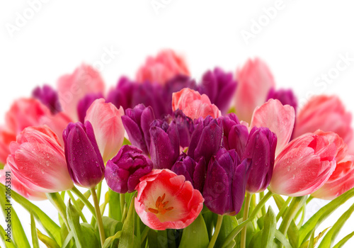 Fototapeta Naklejka Na Ścianę i Meble -   Purple and pink tulips bouquet isolated on white.