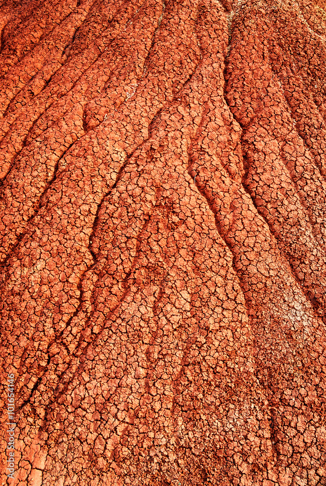 Fototapeta premium John Day Fossil Beds National Monument