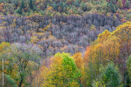  Courel, colores de otoño
