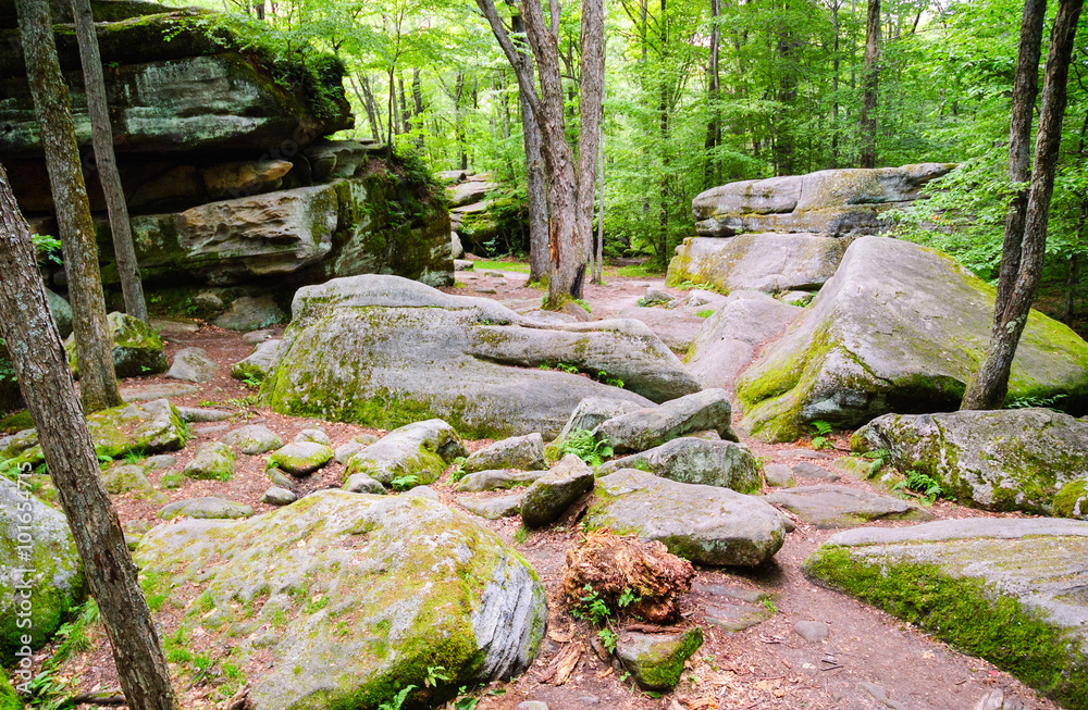 Allegany State Park Allegany State Park