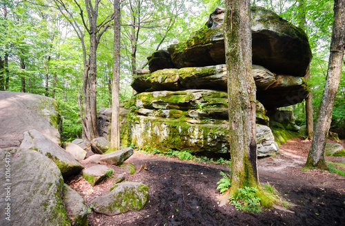 Allegany State Park photo