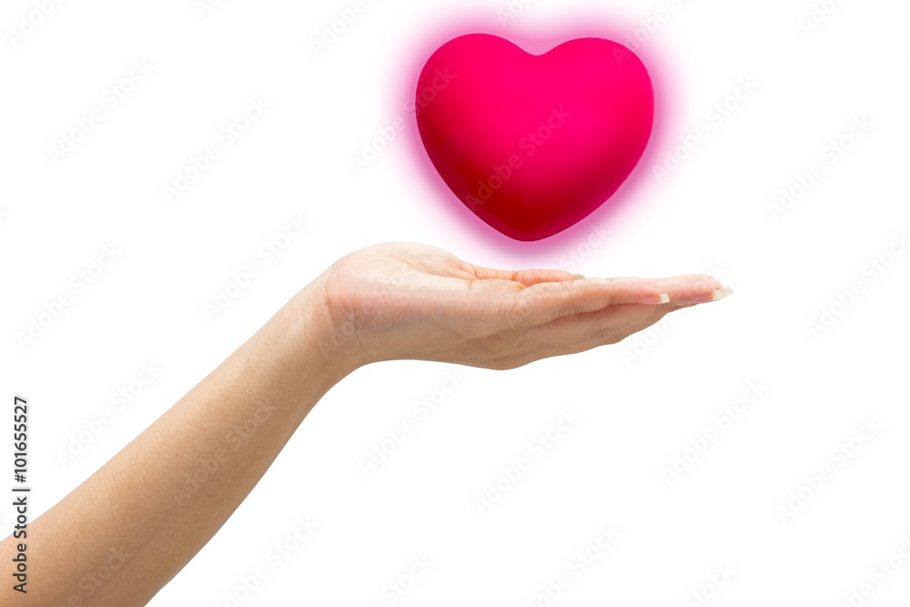 pink heart in man hands, isolated on white background. pink heart in man hands, isolated on white background.