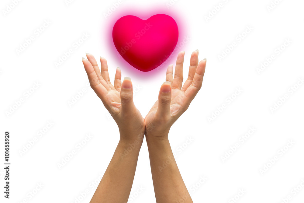 pink heart in man hands, isolated on white background. pink heart in man hands, isolated on white background.