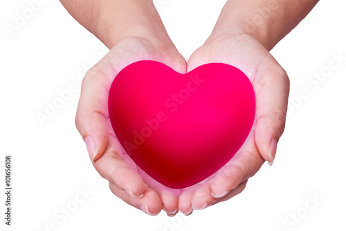 pink heart in man hands  isolated on white background.