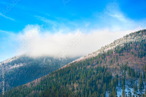 Winter in the Carpathians Mountains