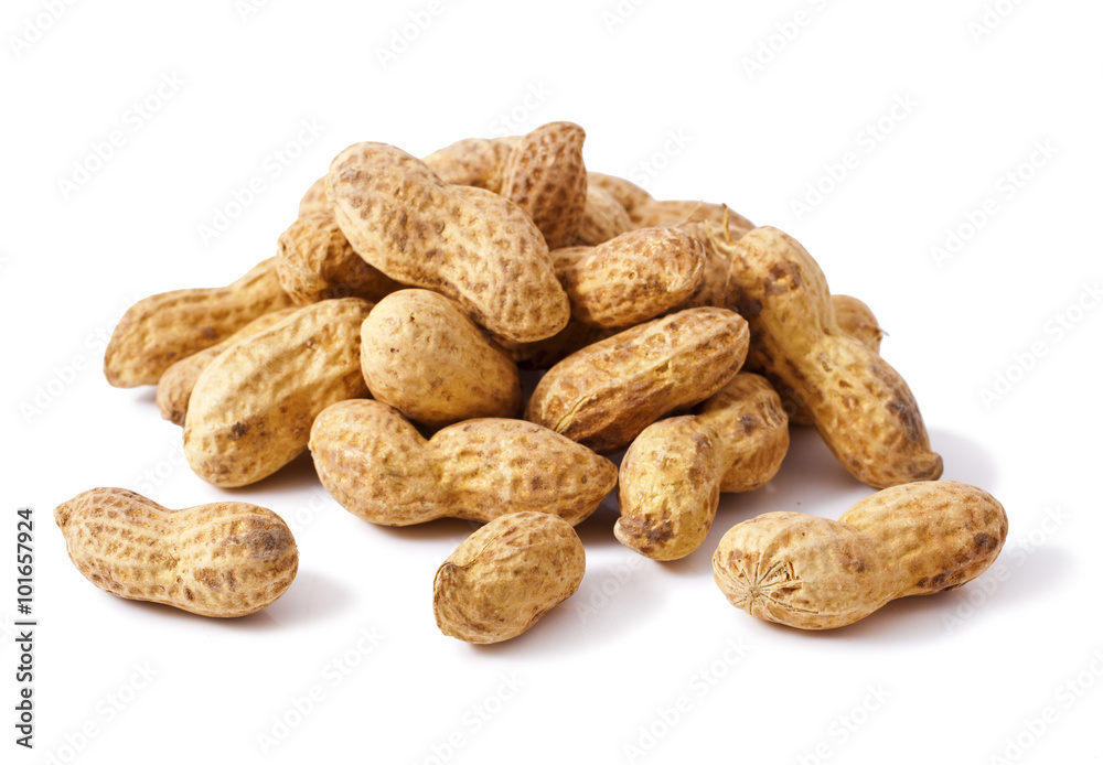 peanut isolated on white background peanut isolated on white background