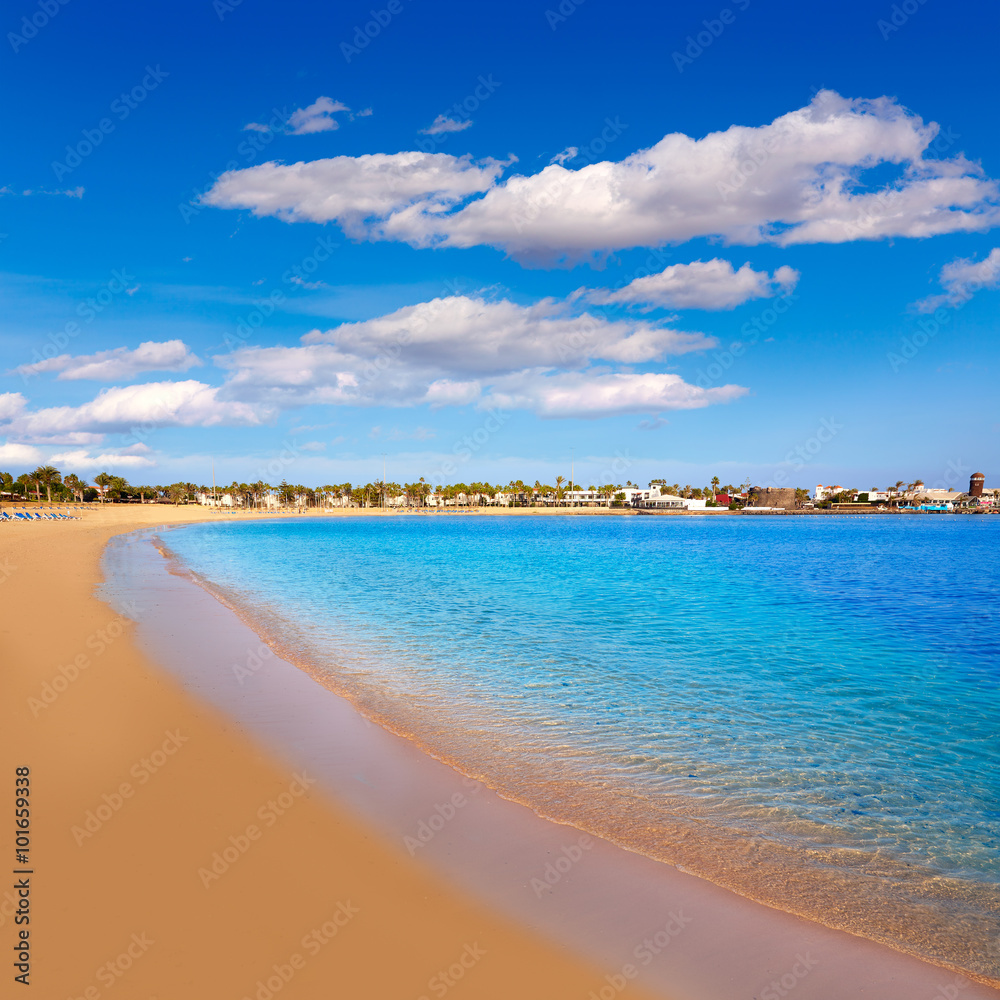 Fuerteventura Caleta del Fuste Canary Islands