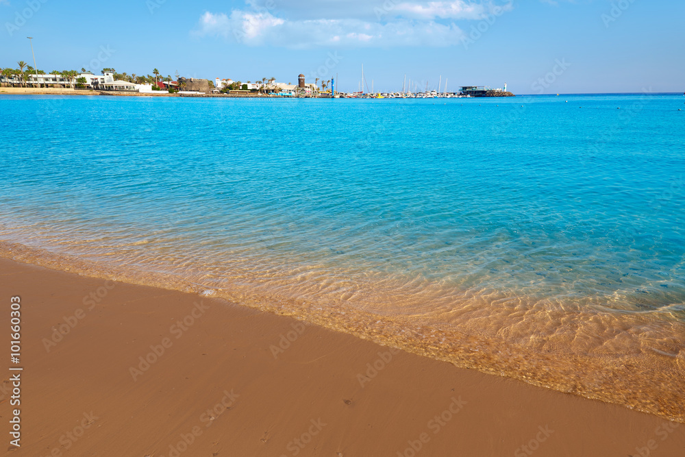 Fuerteventura Caleta del Fuste Canary Islands