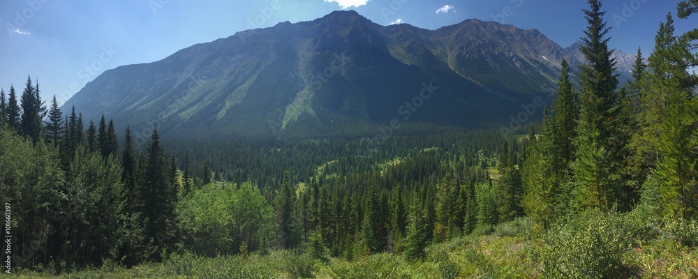Mountain View in the Rockies in Alberta, Canada