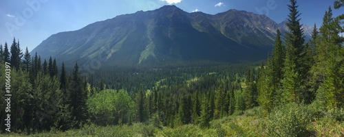 Mountain View in the Rockies in Alberta, Canada